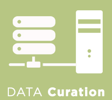 Data Curation