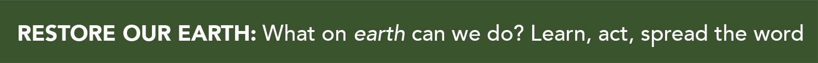 earth day banner