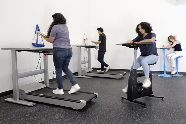 Active Study Area with treadmill and stationary bike desks
