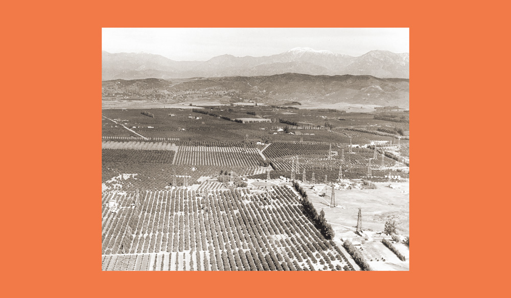 aerial view of orange groves and oil fields north of huntington beach