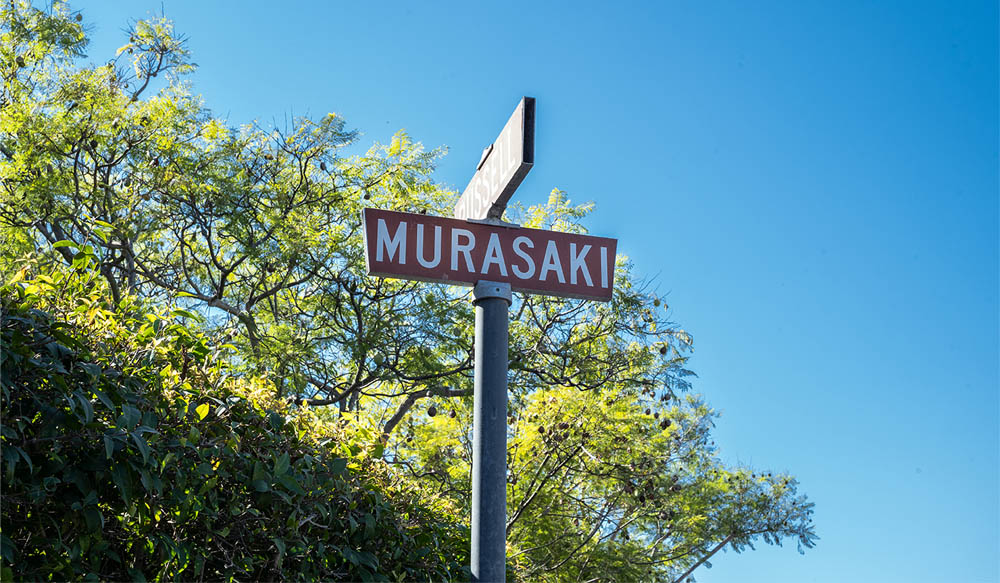 Murasaki street road sign